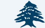 LebAnonsDAO